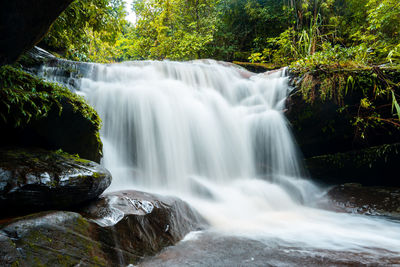 Scenic view of waterfall in forest