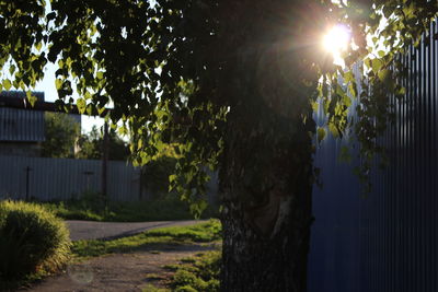 Footpath in park against sky on sunny day