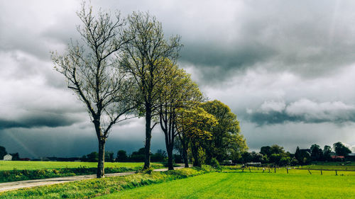 Trees on field against cloudy sky