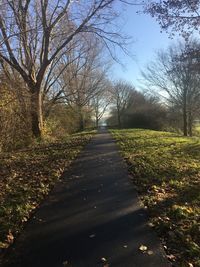 Road amidst trees on field against sky