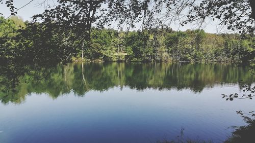 Scenic view of lake in forest against sky