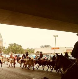 Panoramic view of people against sky