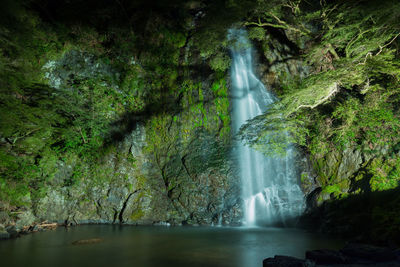 Scenic view of waterfall in forest