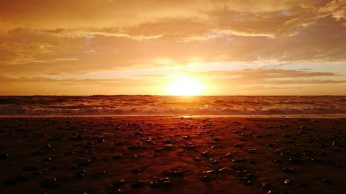 Scenic view of beach against sky during sunset