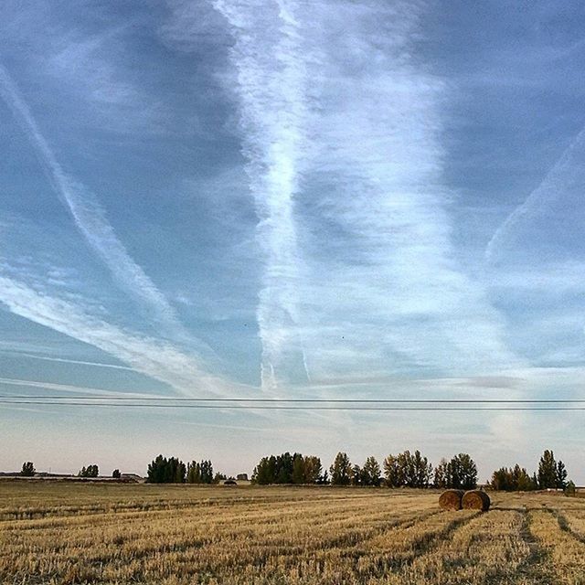 landscape, field, power line, sky, rural scene, tranquil scene, agriculture, tranquility, electricity pylon, beauty in nature, scenics, nature, farm, electricity, tree, growth, power supply, fuel and power generation, connection, cloud - sky