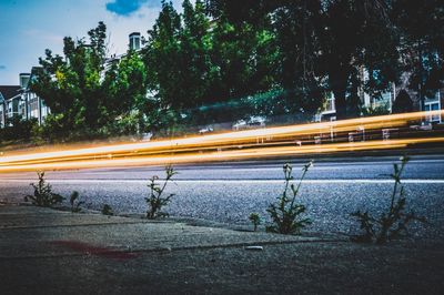 Light trails on street