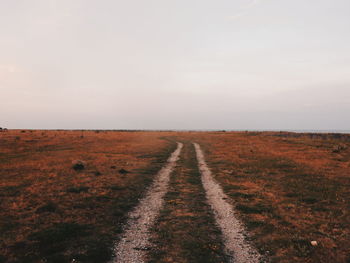 Dirt road passing through field