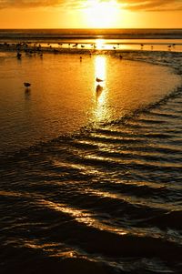 Scenic view of sea at sunset