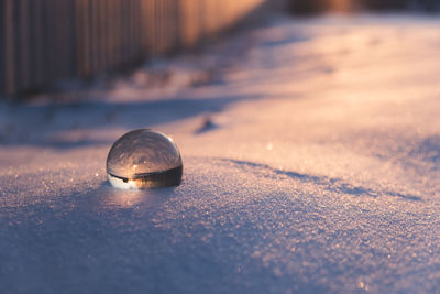 Close-up of a ball in water