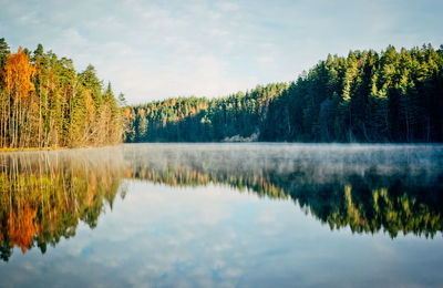 Reflection of trees in lake against sky