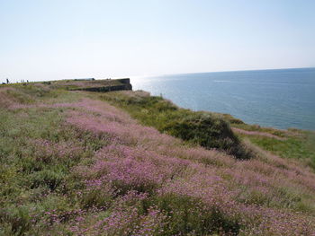 Scenic view of sea against clear sky