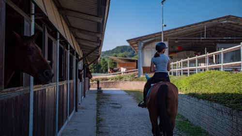 Rear view of horse rider in stable