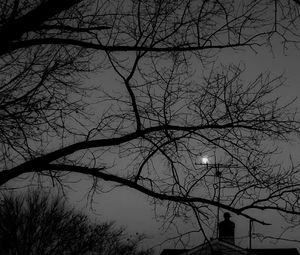 Low angle view of bare trees against sky