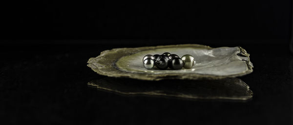 Close-up of pearls on oyster shell against black background