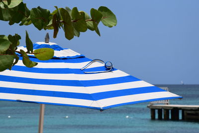 Umbrella by tree against sea and clear blue sky