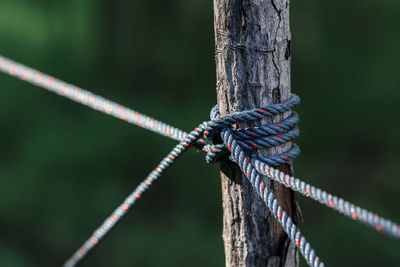 Rope tie between columns in garden, shallow depth of field