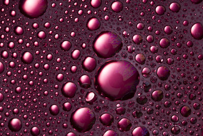 Macro shot of bubbles in water