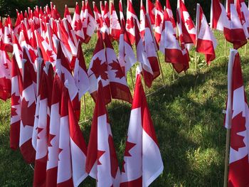Close-up of canadian flag on field