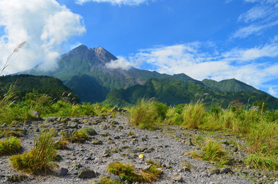 Scenic view of landscape against sky