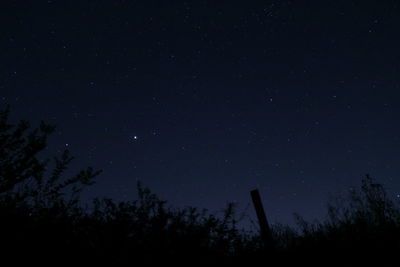 Low angle view of silhouette trees against star field at night