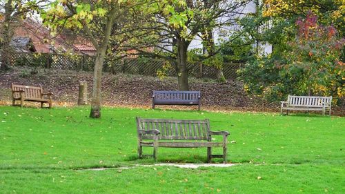 Empty bench in park