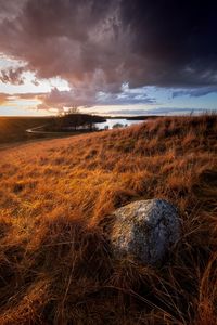 Scenic view of field against sky during sunset