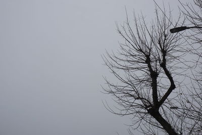 Low angle view of silhouette bare tree against clear sky