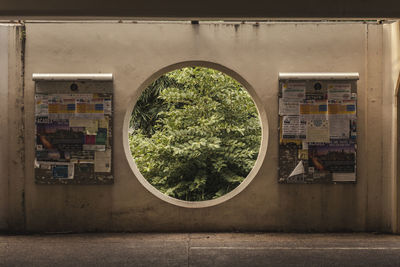 Trees and building seen through wall