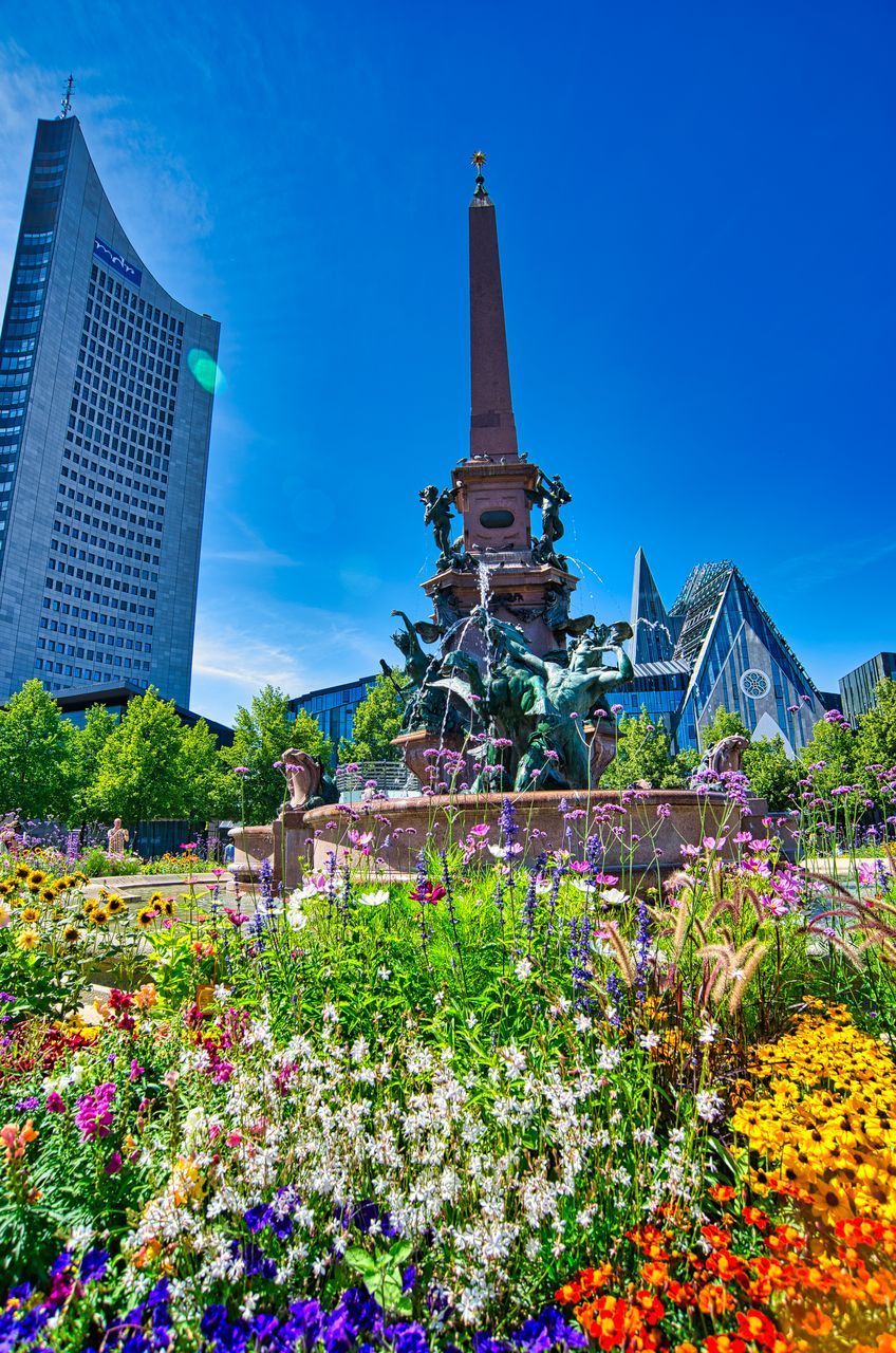 VIEW OF FLOWERING PLANTS AGAINST BUILDINGS