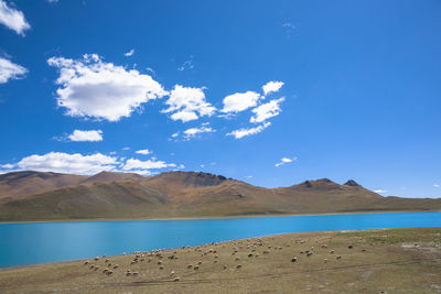 Scenic view of lake against blue sky