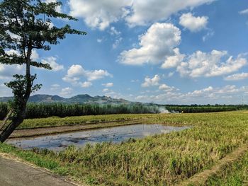 Scenic view of field against sky