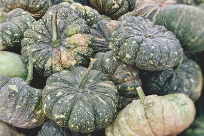 Full frame shot of pumpkins at market