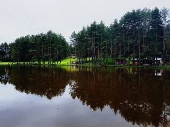 Reflection of trees in lake against sky