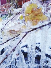 Full frame shot of snow