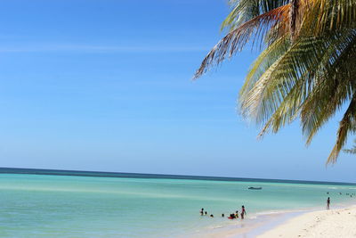 People on beach against clear blue sky