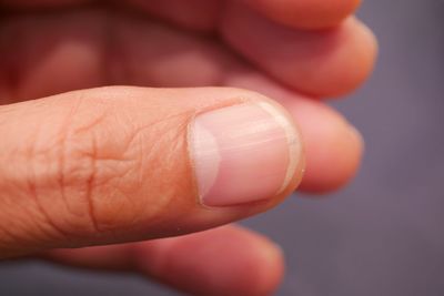 Close-up of hand holding leaf