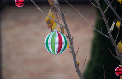 Multi colored christmas baubles hanging on tree