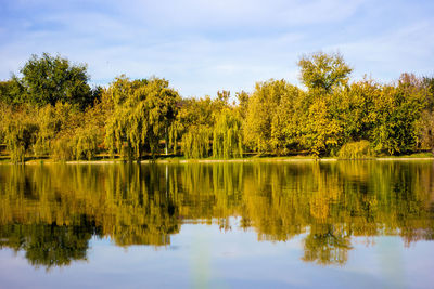 Scenic view of lake by trees against sky