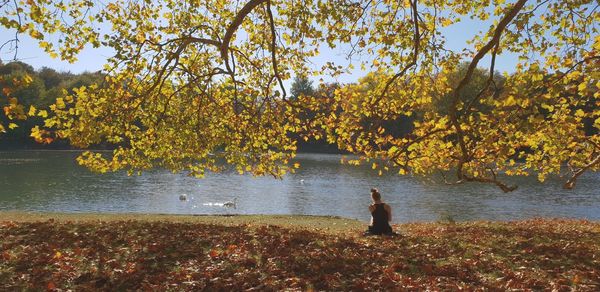 Scenic view of lake during autumn