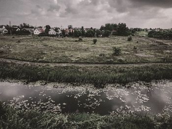 Scenic view of field against sky