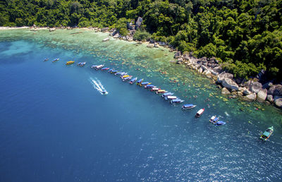 High angle view of plants by sea
