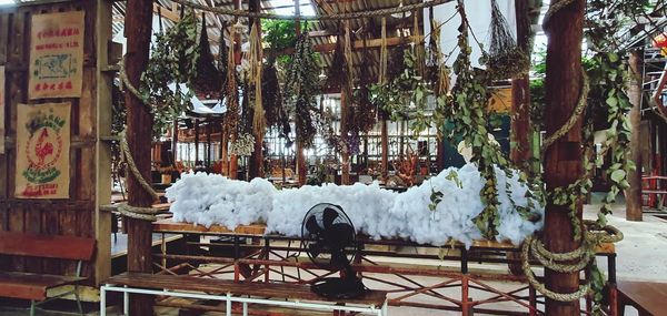 Snow covered plants by trees