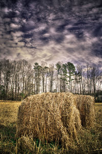 Hay bales on field against sky