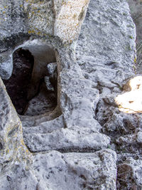 Close-up of statue