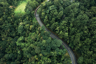 High angle view of road amidst trees in forest