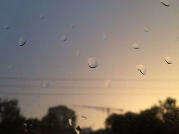 View of water against sky