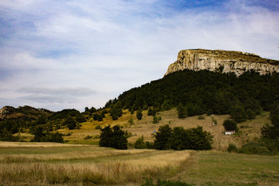 Scenic view of field against sky