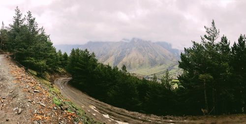 Panoramic view of road amidst trees against sky