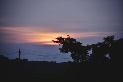 Silhouette trees against sky during sunset