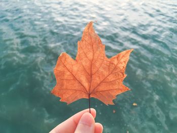 Cropped hand holding autumn leaf over river